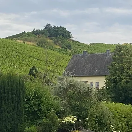 Muehle1767 - Historische Muehle