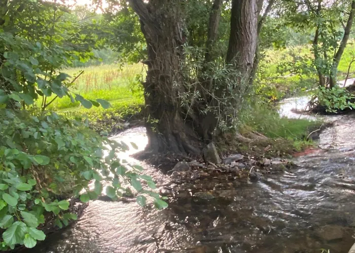 Daire Muehle1767 - Historische Muehle